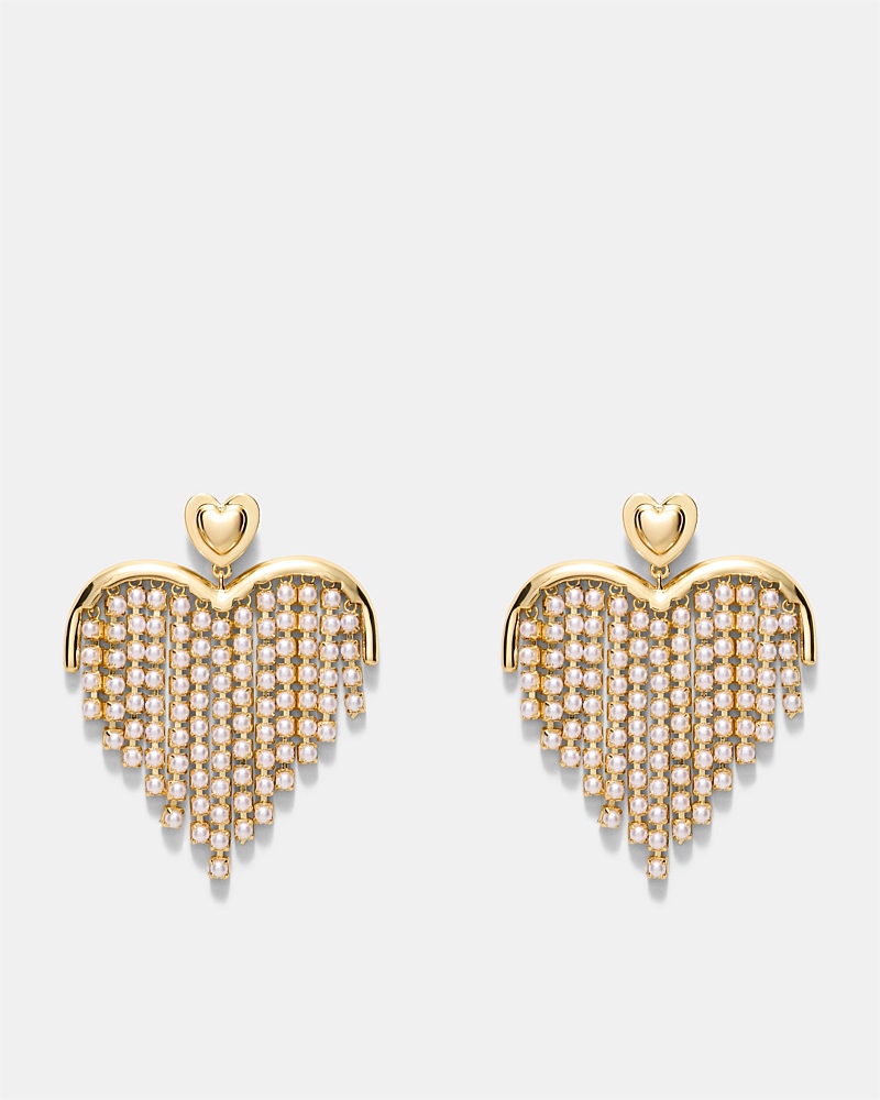 Enticing Heart Earrings