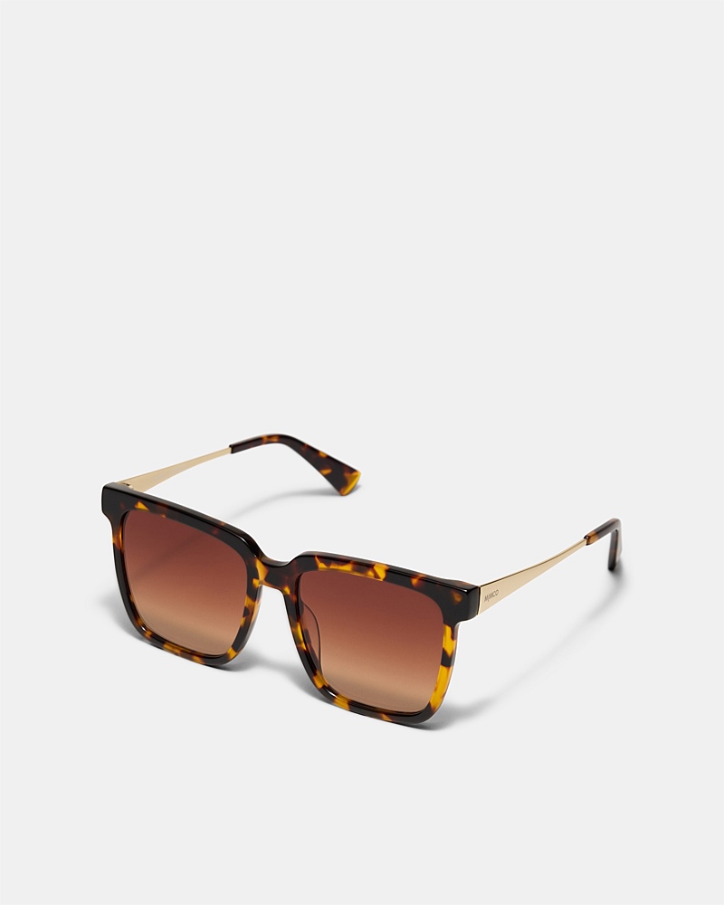Dalton Sunglasses