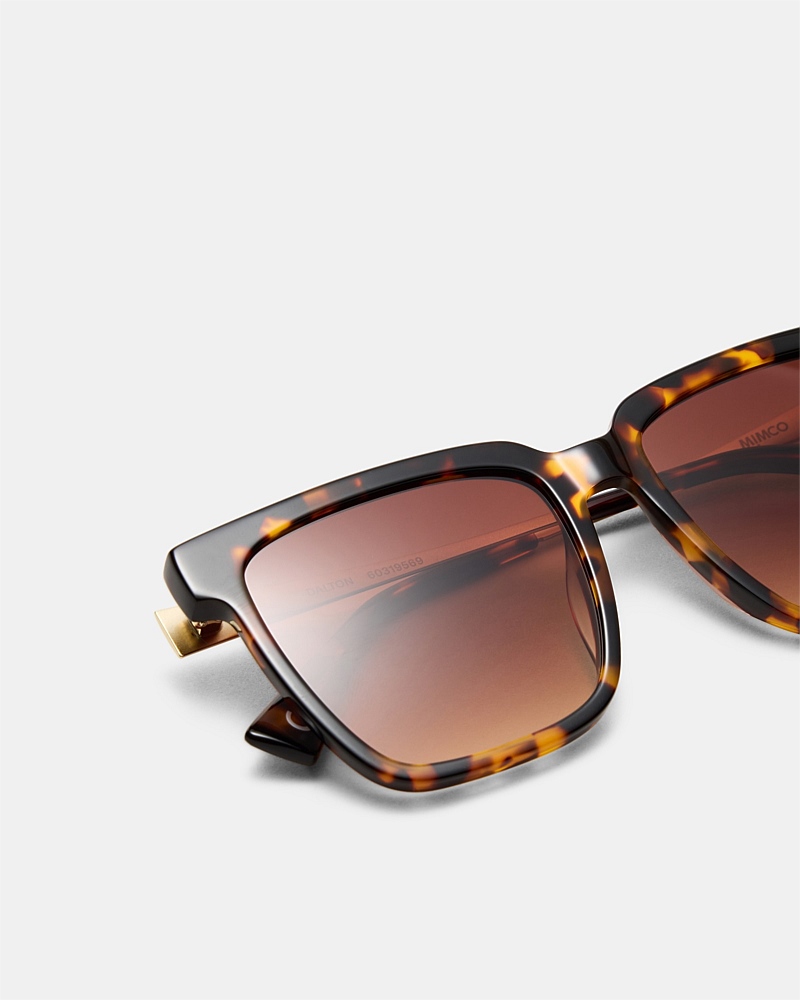 Dalton Sunglasses