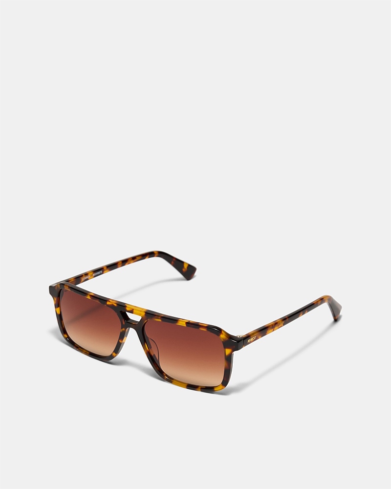 Lennox Sunglasses